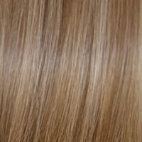A close-up texture shot of straight hair in a light ash blonde color, showing individual strands and subtle highlights. (Brunette Highlights / #P6/22)